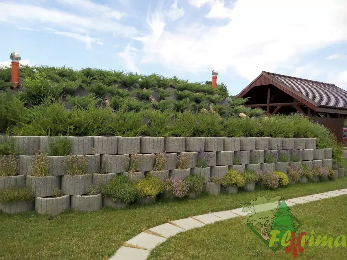 Moderný oporný múr so skalničkami a krásnym trvalkami | Záhradná architektúra Florima