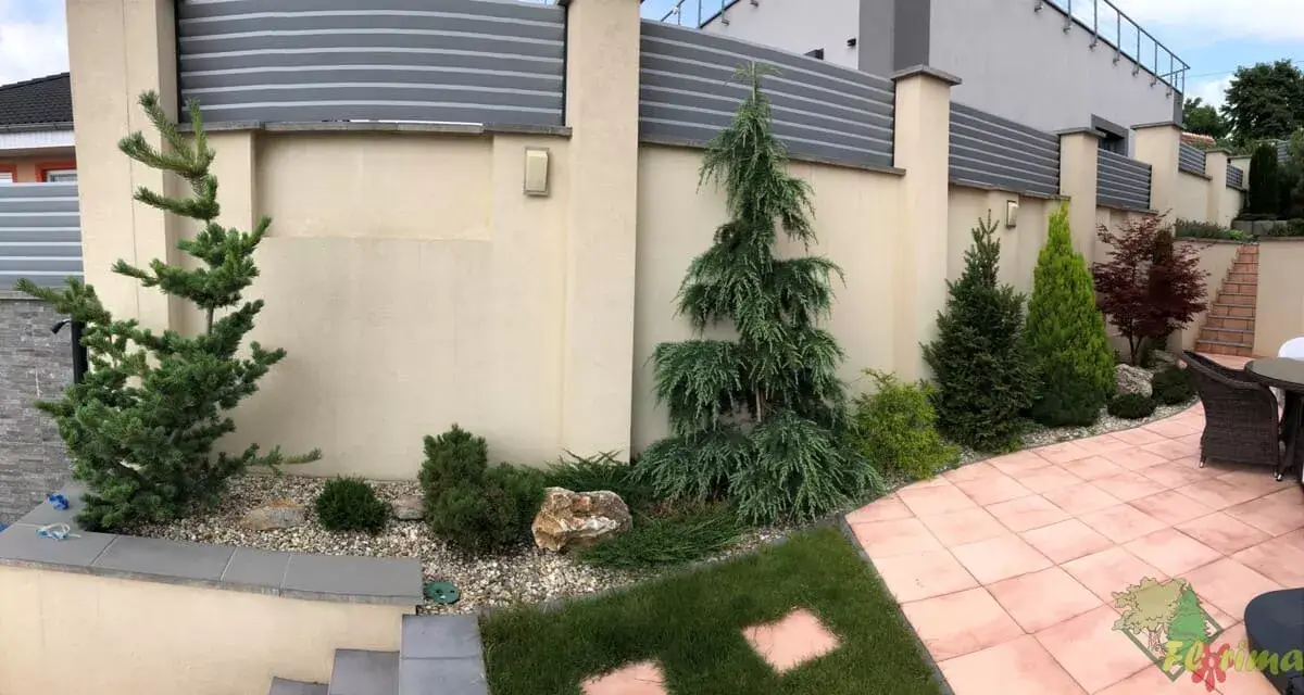 Minimalistická záhrada s ihličnanmi a štrkovou mulčou | Moderná záhradná úprava