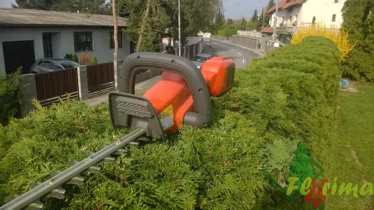 Elektrické nožnice na živý plot pri údržbe záhrady