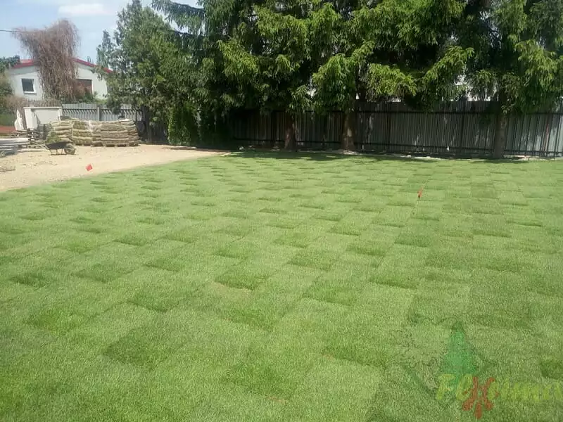 Položený trávnikový koberec v novej záhrade
